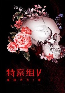 特殊案件调查组Ⅴ