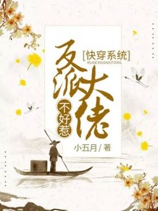 快穿系统:反派大佬不好惹