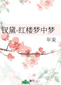 钗黛-红楼梦中梦